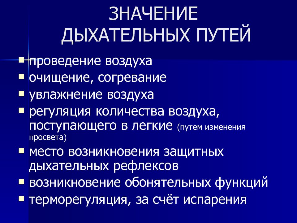 Значение дыхательной системы. Значение дыхательных путей. Физиологическая роль дыхательных путей. Значение верхних дыхательных путей. Физиологическая роль верхних дыхательных путей.