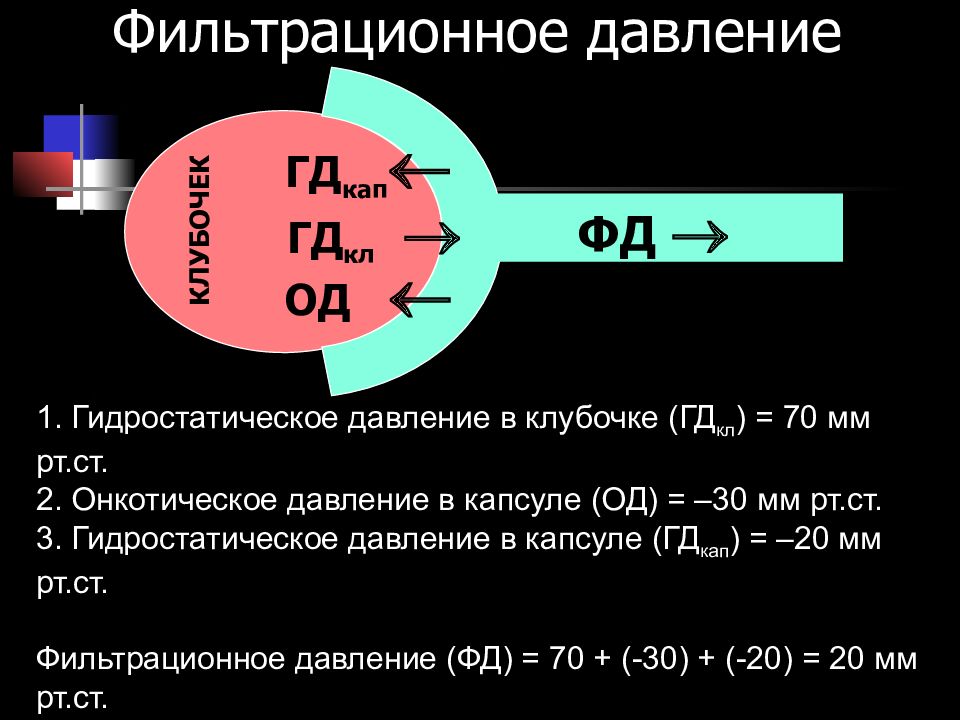 Записать норма. Фильтрационно едвление. Фильтрационное давление. Формула фильтрационного давления. Фильтрационное давление в почках.