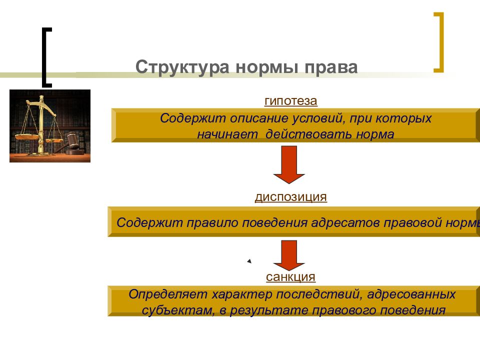 Структура правовой нормы. Структура права гипотеза диспозиция санкция. Структура нормы права гипотеза. Структура нормы права гипотеза диспозиция. Структура нормы права диспозиция.