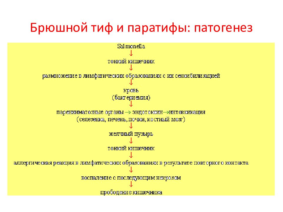 Диагностика брюшного. Брюшной тиф патогенез схема. Патогенез брюшного тифа таблица. Сальмонеллез Ветеринария патогенез. Патогенез паратифа.