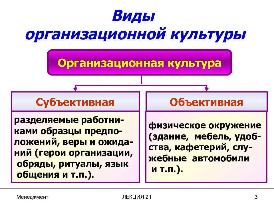 Субъективная ситуация. Субъективная и объективная организационная культура. Виды организационной культуры. Субъективные и объективные элементы организационной культуры. Субъективные элементы организационной культуры.