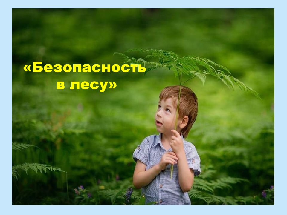 Безопасность в лесу»