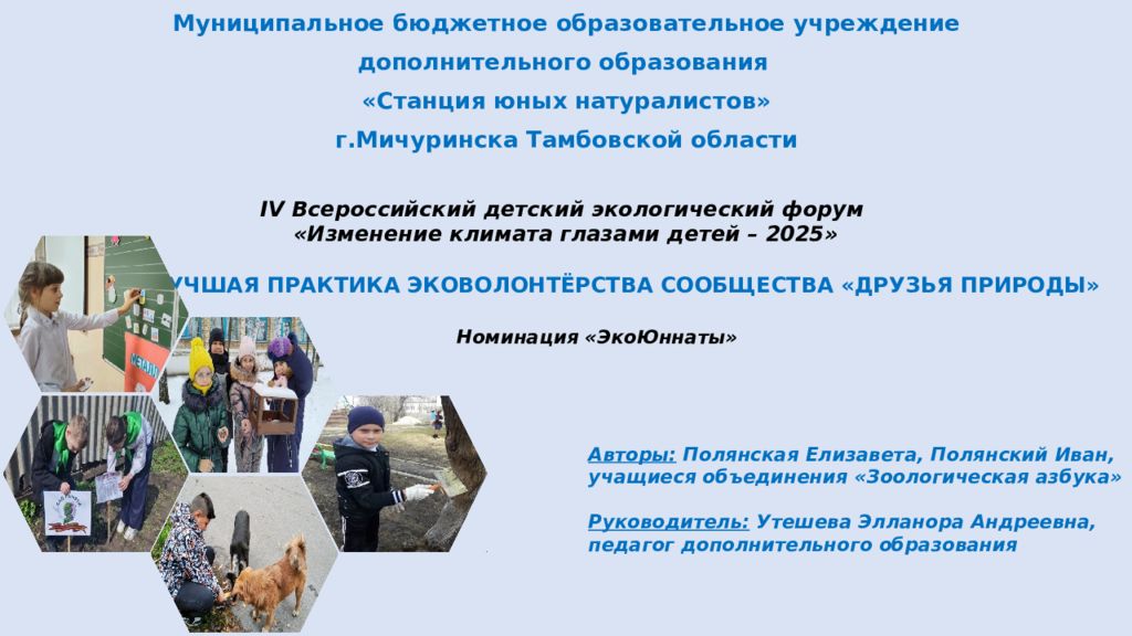 Муниципальное бюджетное образовательное учреждение дополнительного