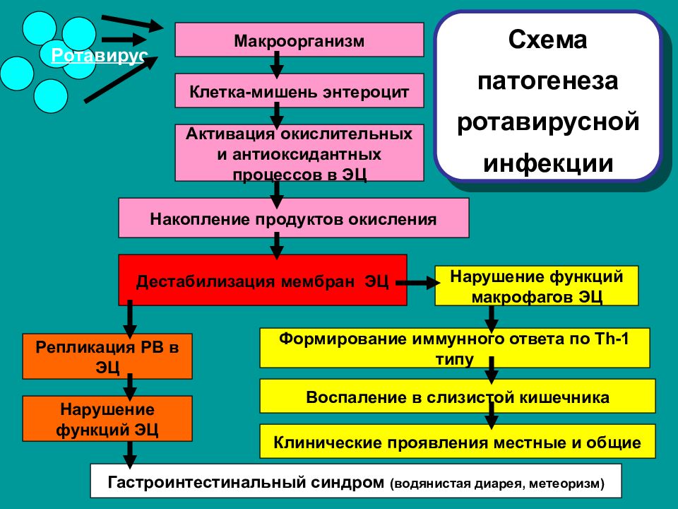 Схема лечения ротавируса