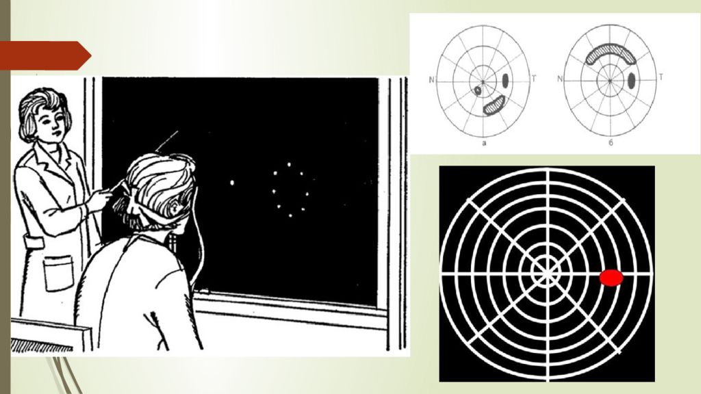 1 Тақырып Көрудің қызметтері мен оларды зерттеу әдістері 1 Тақырып Көрудің қызметтері мен оларды зерттеу әдістері