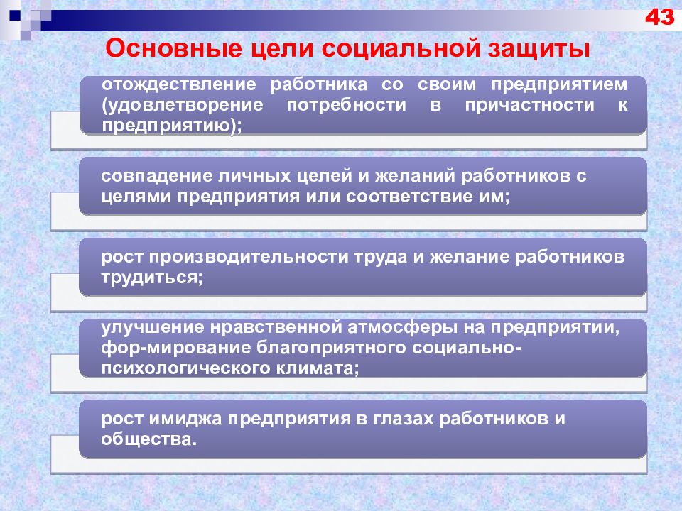 Виды социальных целей. Цели социальной защиты. Основные цели социальной защиты. Цель организации соц защиты. Основные цели соц защиты.