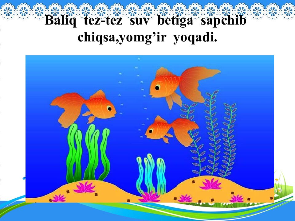 Baliq tez-tez suv betiga sapchib chiqsa,yomg’ir yoqadi.