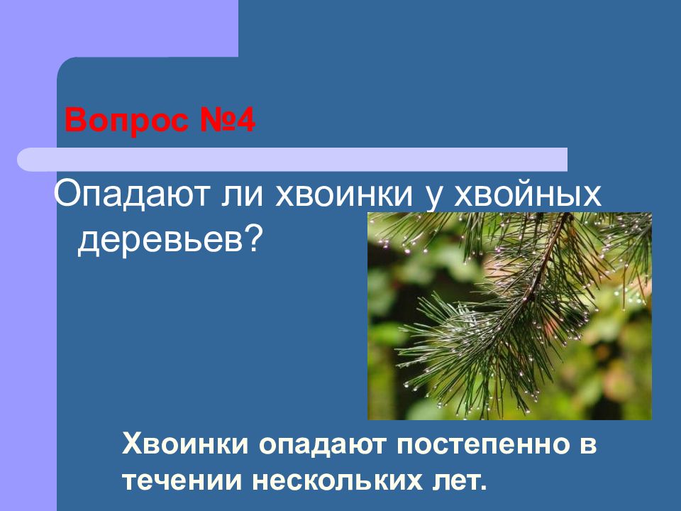 в каждой травинке в каждой капле влаги в ветерке радость. текст для списывания вставляя пропущенные буквы. каждой травинке хвоинке хотелось быстрее. стих каждая тропинка каждая травинка каждая росинка. название рассказа придумать.