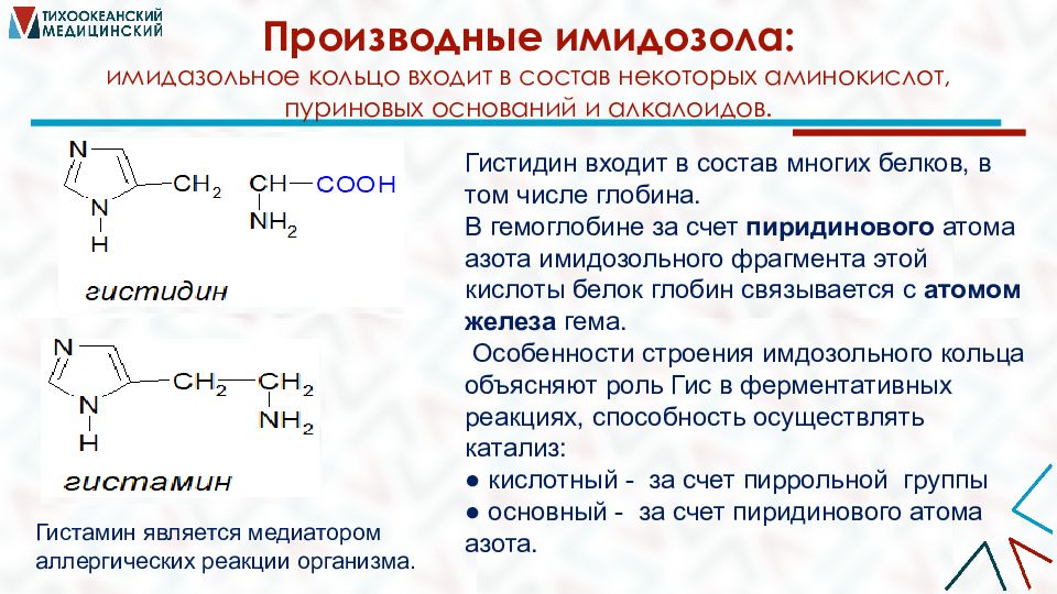 Гистидин для чего. Имидазольное кольцо аминокислот. Производные пуриновых алкалоидов. Имидазольное кольцо гистидина. Гистидин.