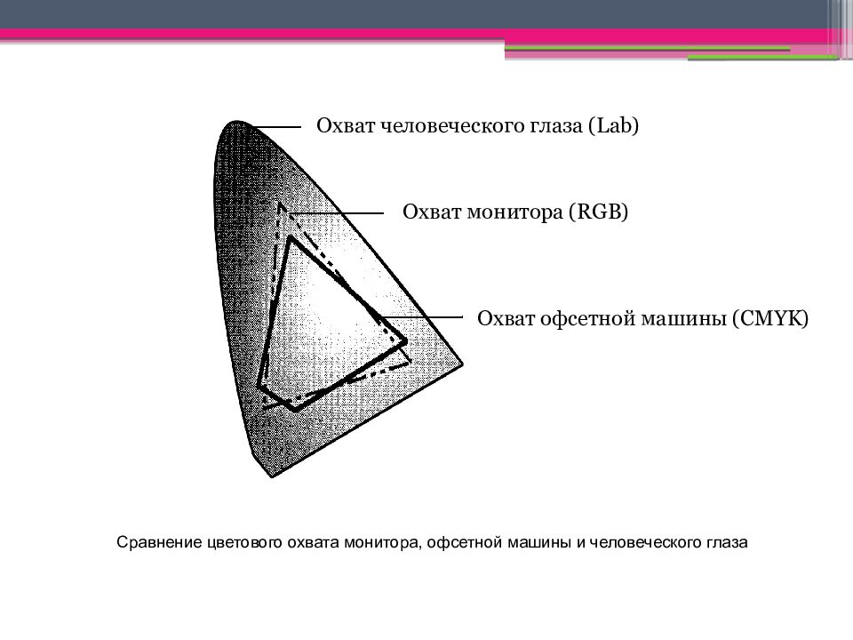 Какие из компьютерных изображений не чувствительны к масштабированию