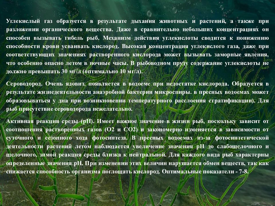 Водные богатства ленинградской области презентация