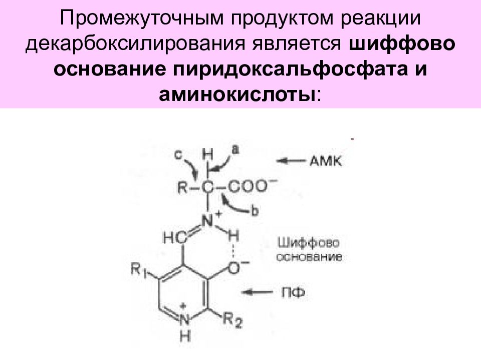 Промежуточный продукт. Пиридоксальфосфат реакция с аминокислотами. Пиридоксальфосфат реакции. Реакция образования шиффовых оснований. Пиридоксальфосфат Шиффа.