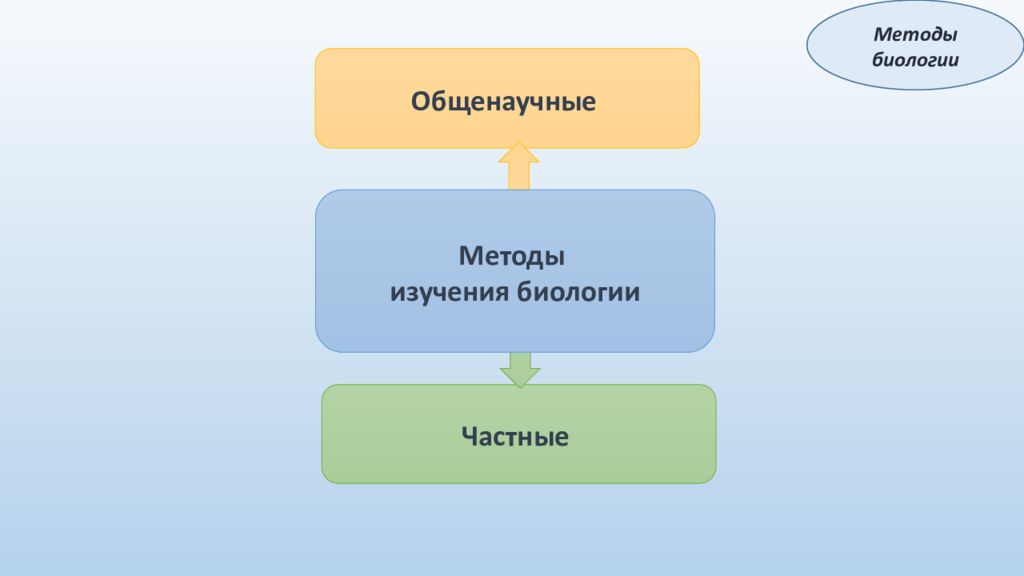 Биология методика. Методы биологии. Общенаучные методы биологии. Методы биологии частные и общенаучные. Виды исследований в биологии.