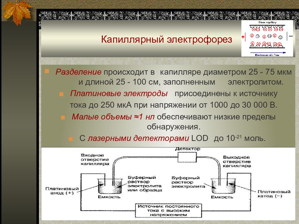 Метод капиллярного электрофореза основные принципы и схемы реализации