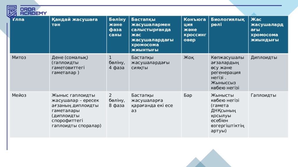 Жасушалық цикл