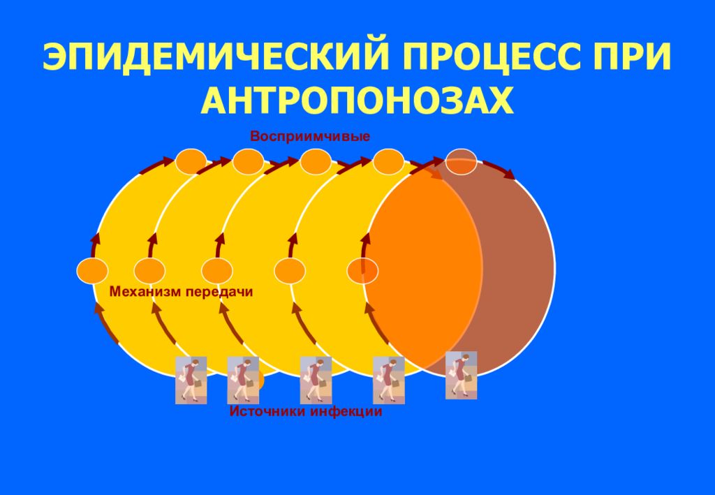 Эпидемический процесс. Схема развития эпидемического процесса при антропонозах. Эпидемический процесс антропонозов. Эпидемиологический процесс механизм передачи.