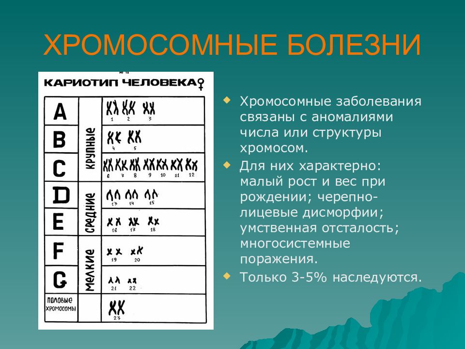 Презентация на тему хромосомные болезни человека