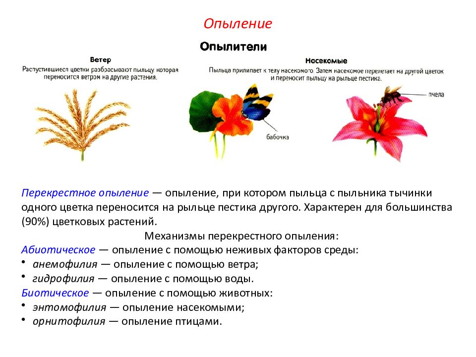 Презентация опыление растений