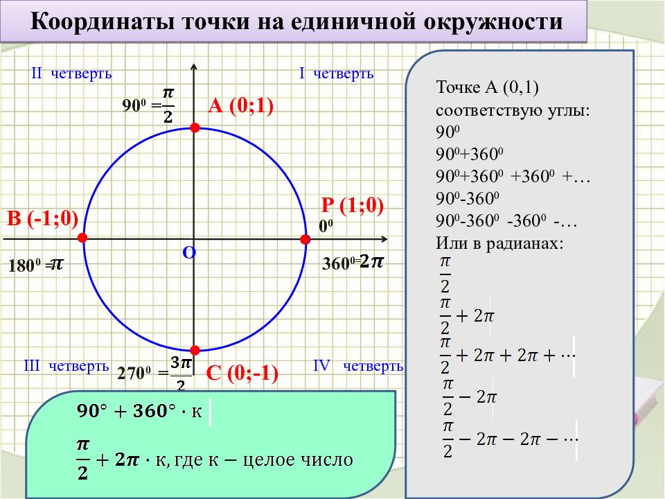 Поворот точки единичной окружности. Круг единичной окружности синусы. Координаты точек на единичной окружности. Точки на единичной окружности. Единичная окружность синус.