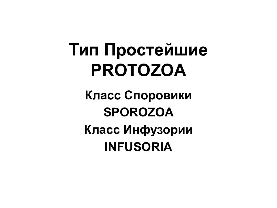 Тип Простейшие PROTOZOA