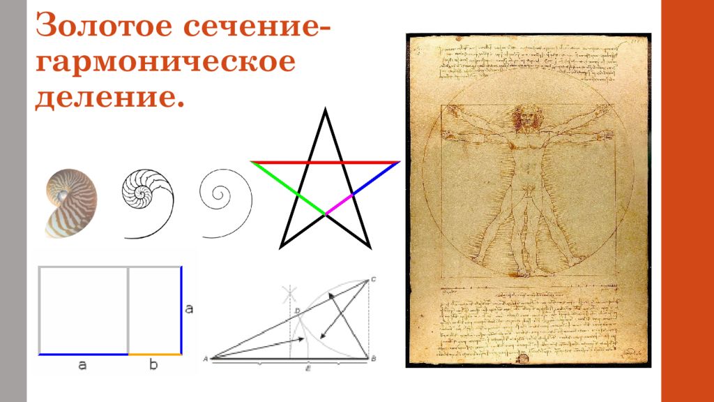 Золотое сечение леонардо да винчи картина