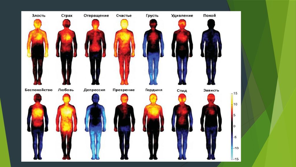Презентация на тему физиология эмоций