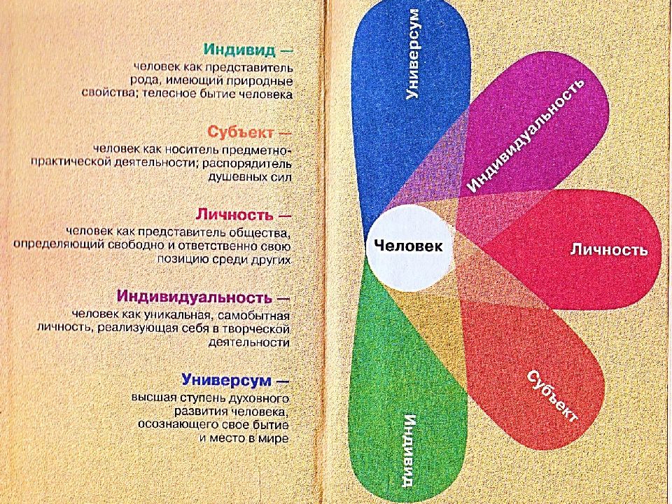 Экологические основы безопасности жизнедеятельности человека в среде обитания презентация