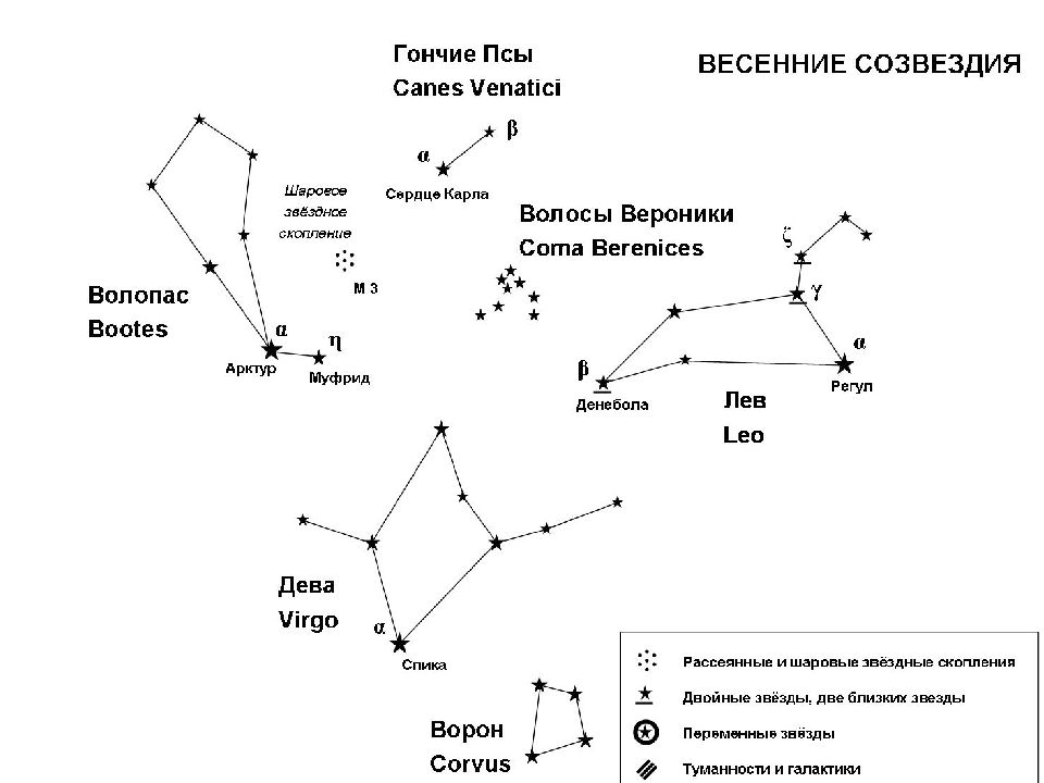 Созвездие гончие. Созвездие гончих псов схема. Созвездие гончие псы схема. Волопас Созвездие схема. Самая яркая звезда в созвездии гончие псы.