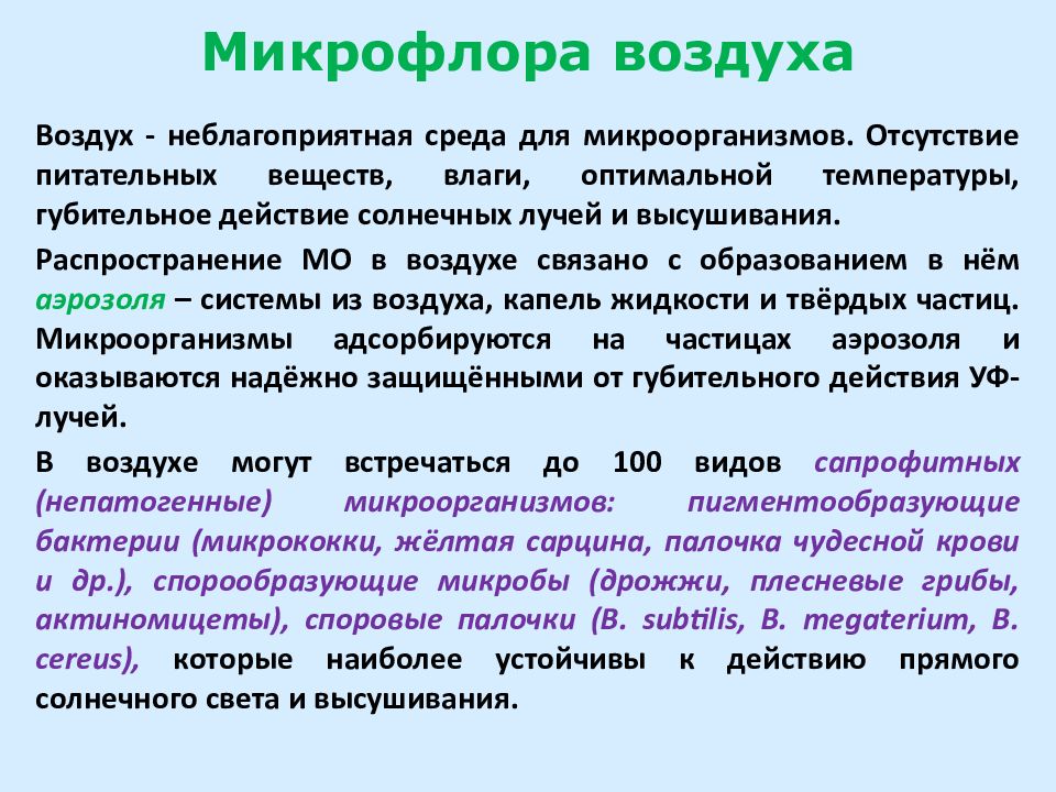 Проект микрофлора воздуха