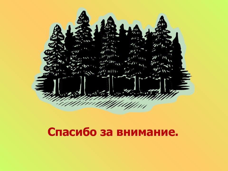 Вокруг росли. Открытка Международный день лесов. Надпись лес. Надпись правила поведения в лесу. Лес надпись для детей.