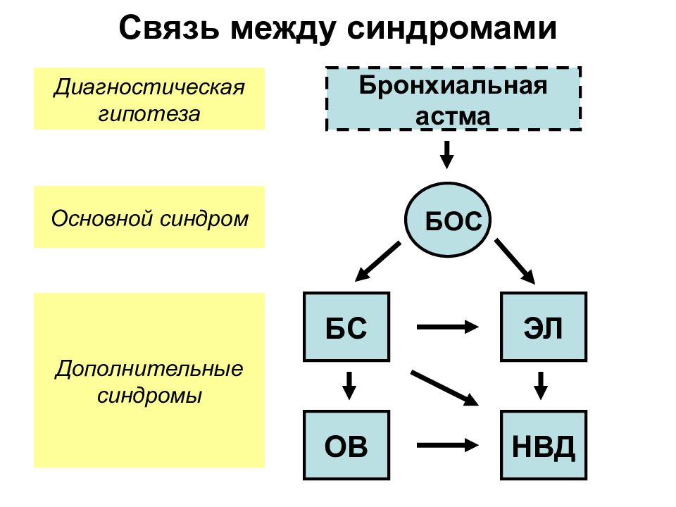 Ов и бс. Связь между. Связь между синдромами. Диагностическая гипотеза. Гипотеза бронхиальной астмы.