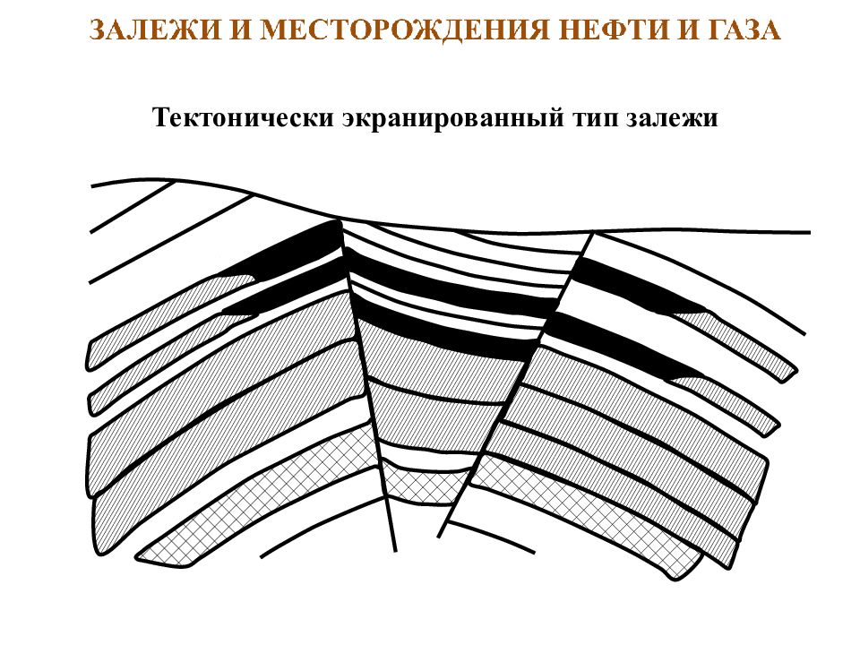 Залежи нефти. Тектонически экранированная ЛОВУШКА. Тектонически экранированные залежи. Тектонически экранированная залежи нефти. Нефтегазовая тектонически экранированная ЛОВУШКА.