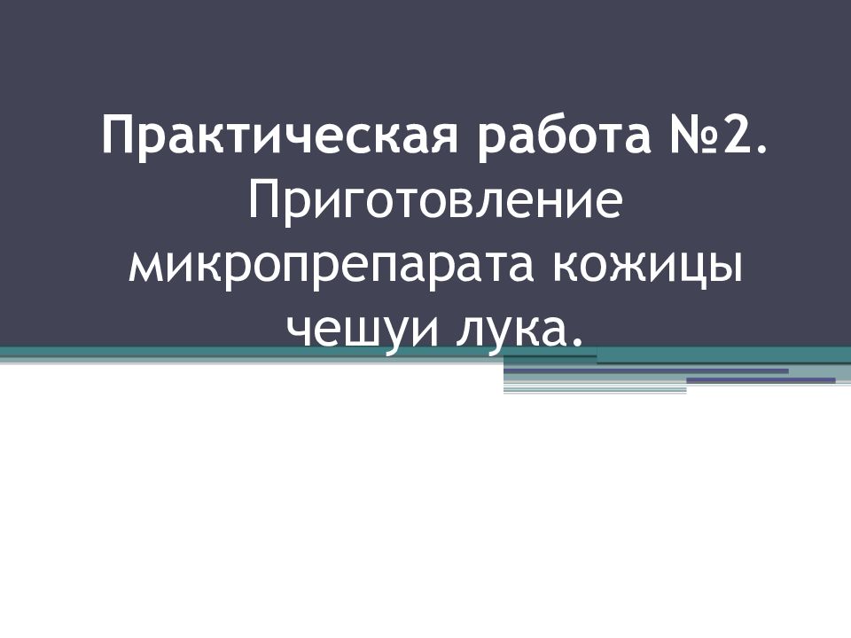 Практическая работа №2. Приготовление микропрепарата кожицы чешуи лука.