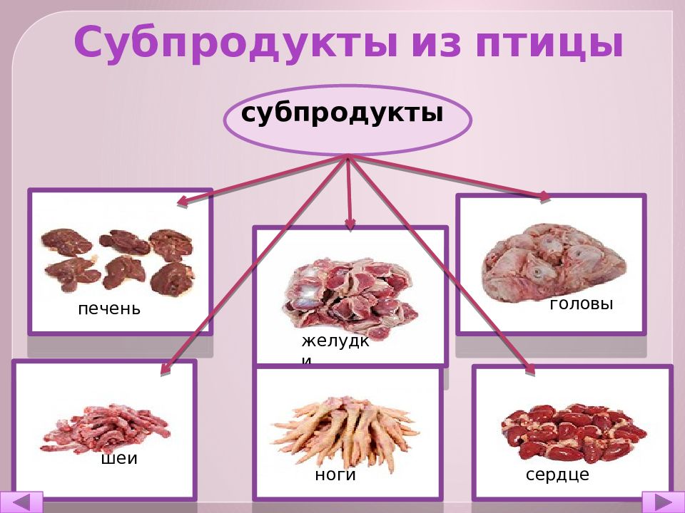 Мелкокусковые полуфабрикаты из птицы презентация