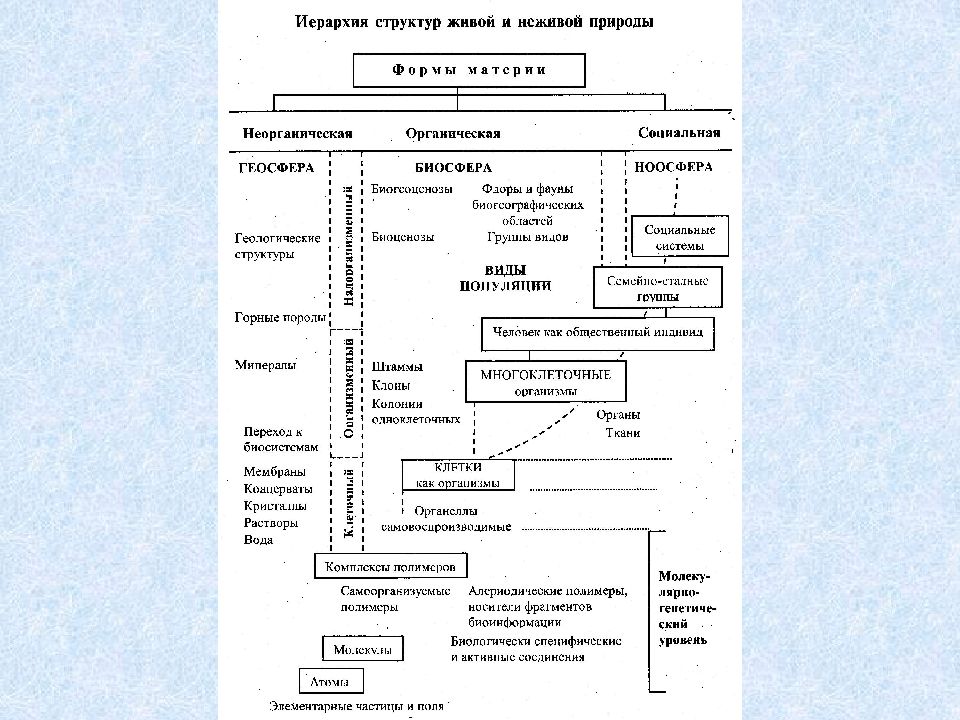 Живая структура. Иерархия на химическом предприятии. Иерархия химико технологической системы. Химико Технологический процесс иерархия. Структурная иерархия легкого.