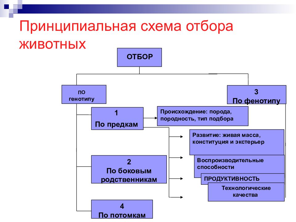 Методы разведения сельскохозяйственных животных презентация