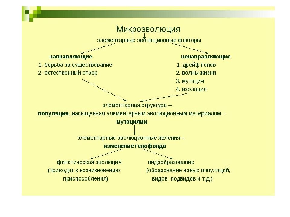 Микроэволюция это. Элементарные факторы эволюции. Элементарные эволюционные факторы. Микроэволюция схема. Элементарные факторы микроэволюции единица.