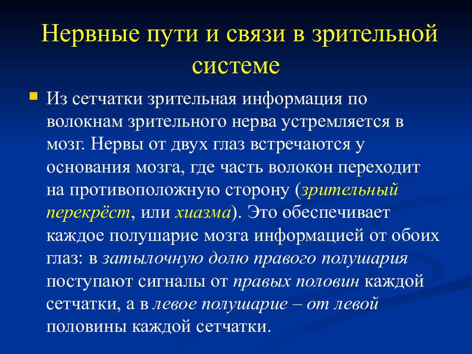 Нервные пути. Нервные пути и связи в зрительной системе. Физиология сенсорных систем презентация. Презентация на тему физиология сенсорной системы. Физиология зрительной сенсорной системы презентация.