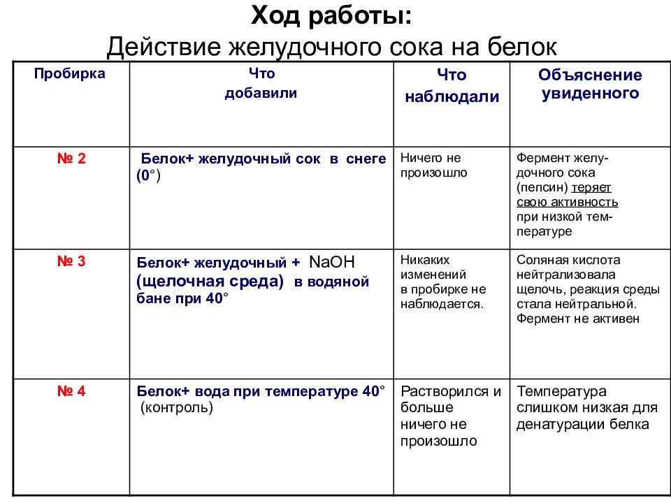 Презентация по исследованию в действии