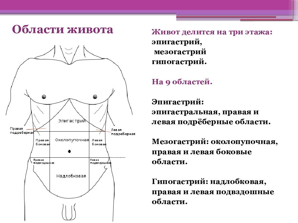 Эпигастральная область