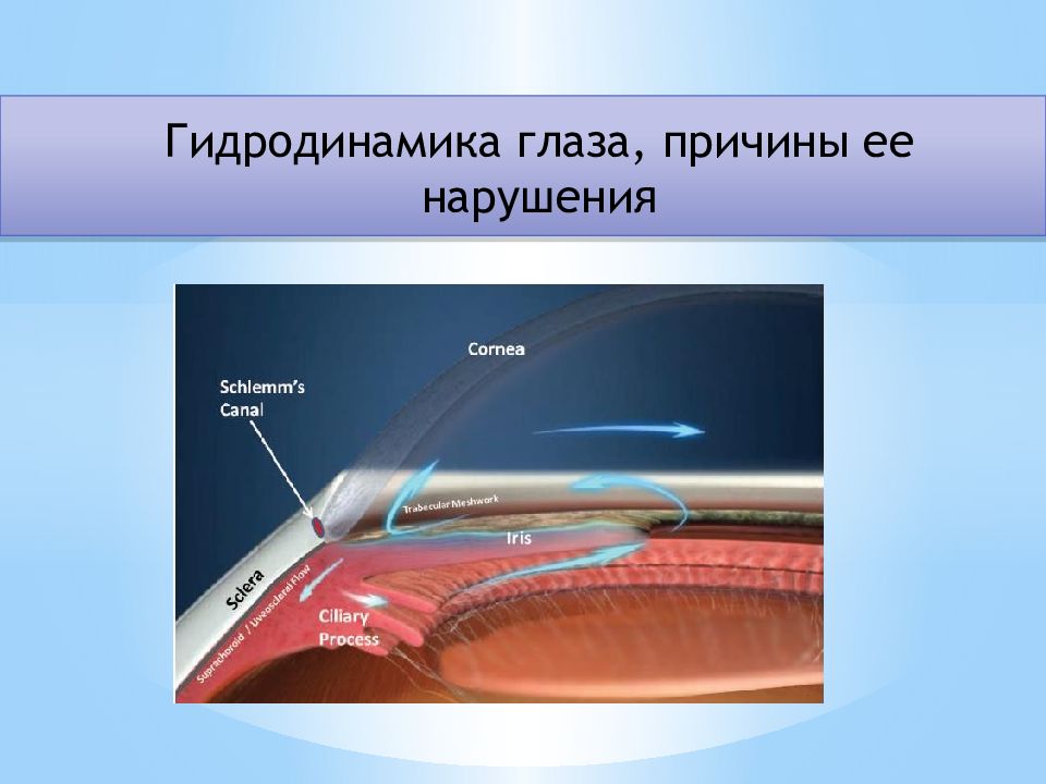 Гидродинамика глаза, причины ее нарушения