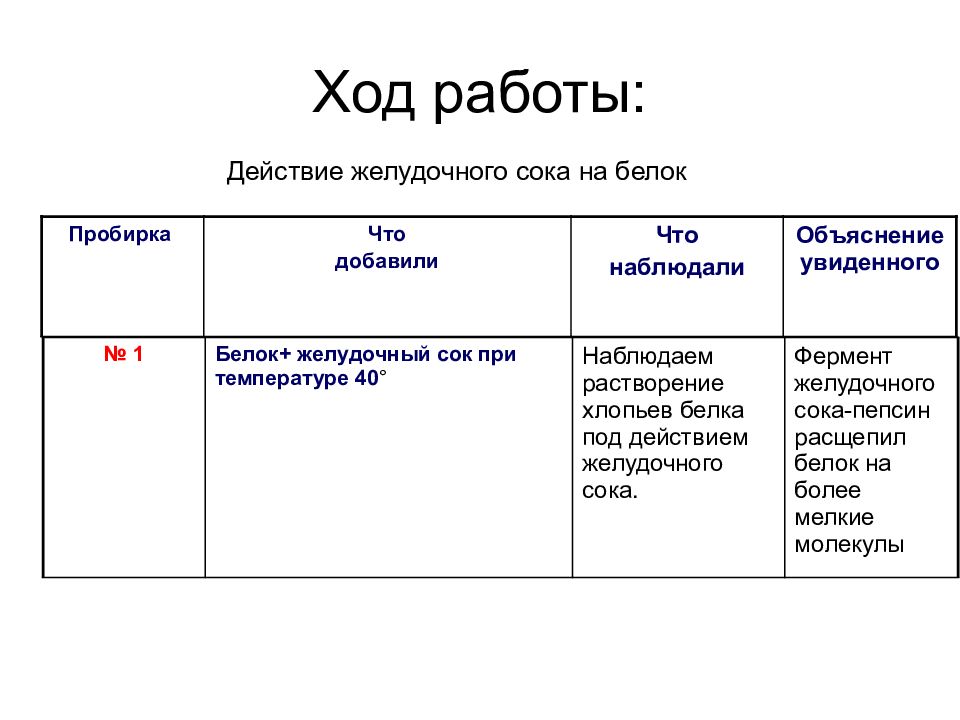 Наблюдение действия желудочного сока на белки