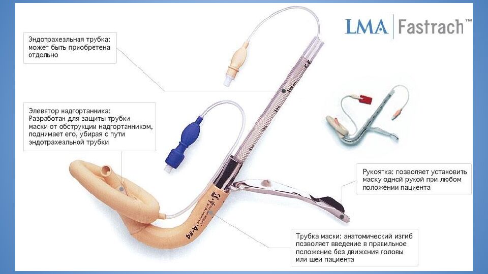 Трудные дыхательные пути в анестезиологической практике. Difficult Airway