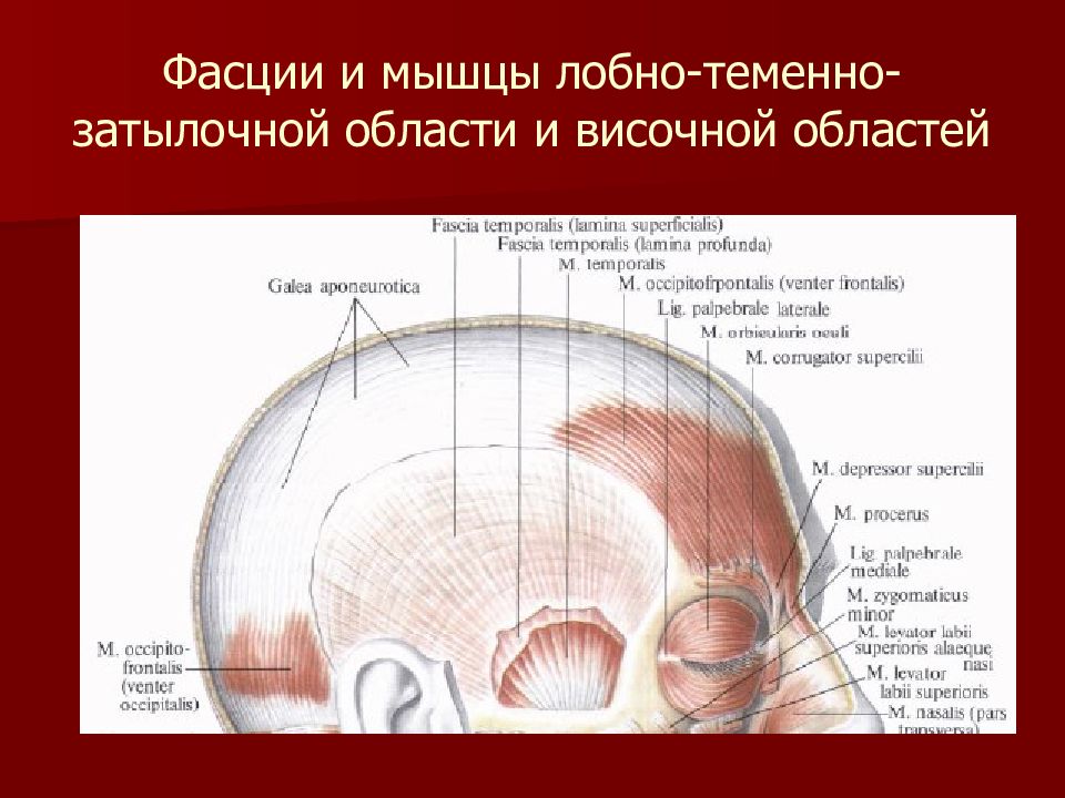 Гематома затылочной области карта вызова