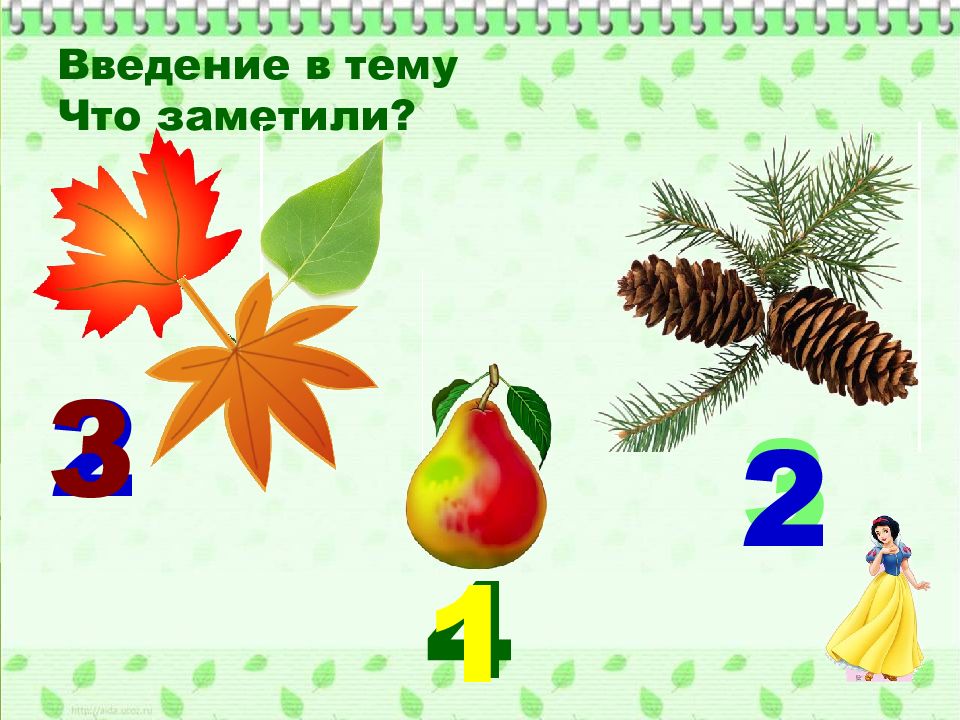 Числа 1 3 презентация