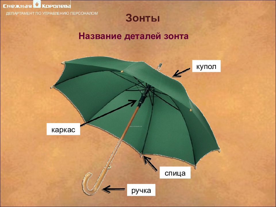 Роль зонтика. Строение зонта. Из чего состоит зонт. Названия частей зонтика. Зонт части зонта.