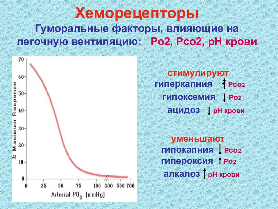 Факторы дыхания. Влияние изменений ро2, рсо2, РН крови на вентиляцию легких.. Гуморальные факторы дыхания. Гуморальная регуляция вентиляции легких. Влияние гуморальных факторов на дыхание.