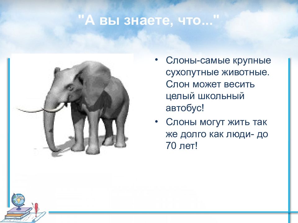 Слон рассказ окружающий мир. Слон. Стихотворения про с ловна. Описание слона. Слон для презентации.