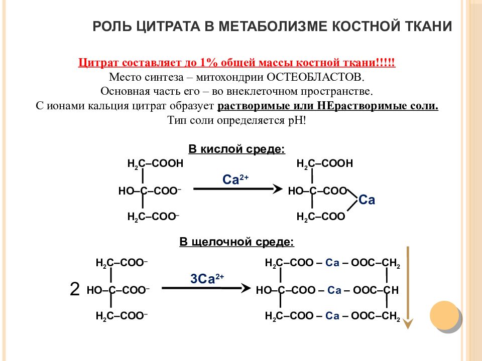 Биохимия костной ткани презентация