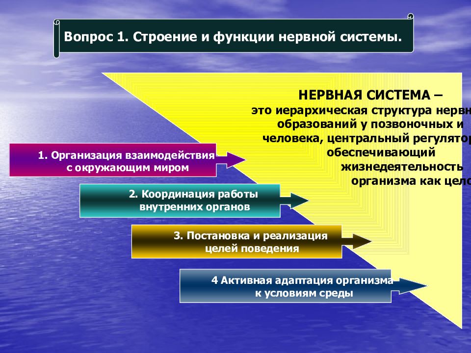 Строение вопроса. Естественно-научные основы психологии. Естественные основы психологии. Естественно-научные основы психологии презентация. Естественнонаучные основы психологии.